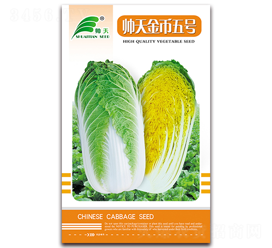 帥天金幣五號(hào)-白菜種子-帥天