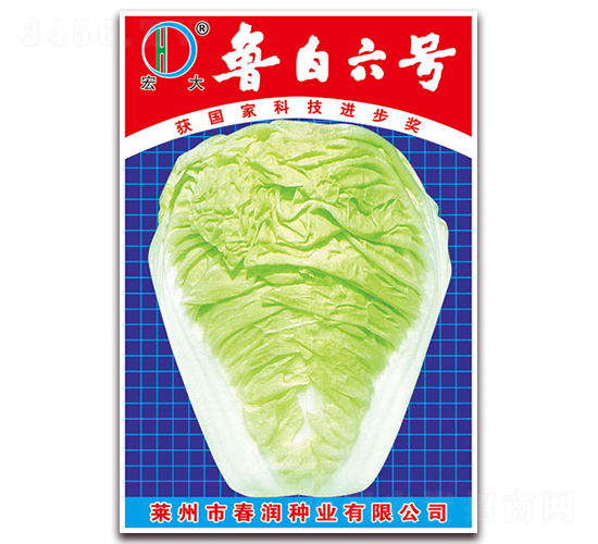 ����6̖-�ײ˷N��-�����N�I