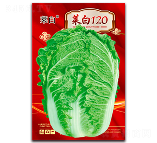 �˰�120-�ײ˷N��-�����N�I