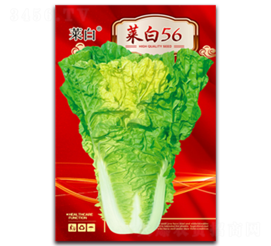 �˰�56-�ײ˷N��-�����N�I