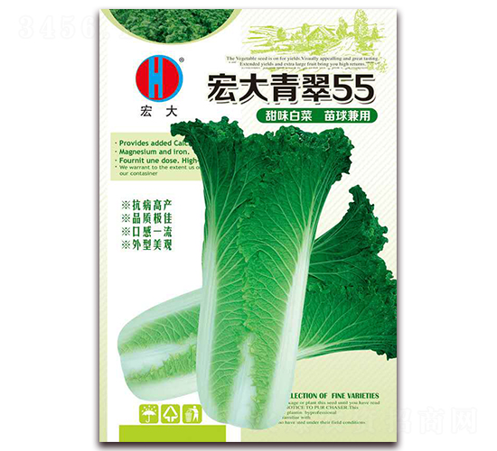 ������55-�ײ˷N��-�����N�I