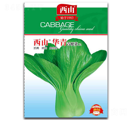 �����A��-�ײ˷N��-����