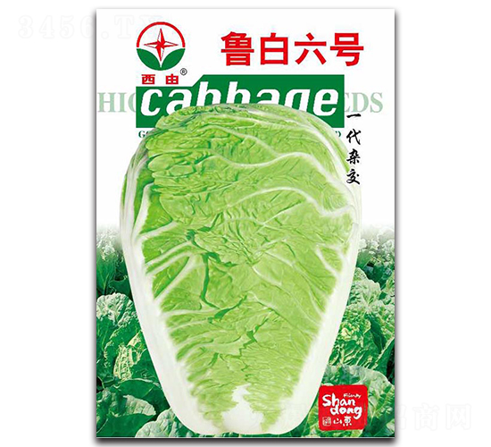 ������̖-�ײ˷N��-����