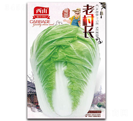 �ϴ��L-�ײ˷N��-����