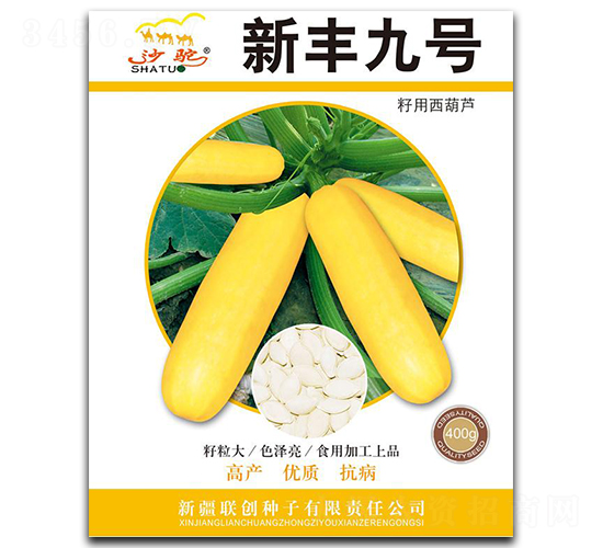新豐九號-西葫蘆種子-聯創