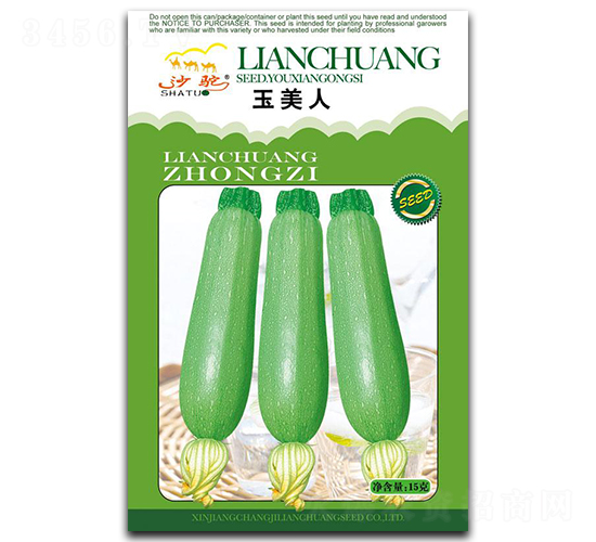 玉美人-西葫蘆種子-聯(lián)創(chuàng)