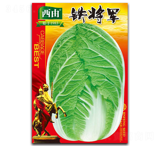 �F��܊-�ײ˷N��-����