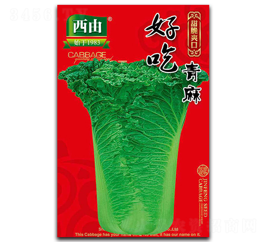 �ó�����-�ײ˷N��-����