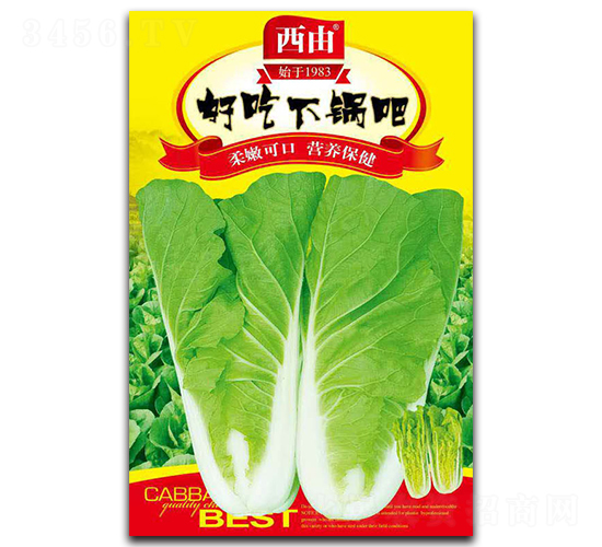 �ó���偰�-�ײ˷N��-����