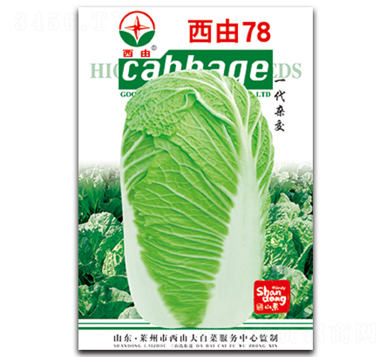 西由78-白菜種子-西由