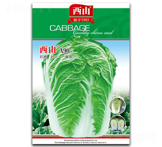 ����A90-�ײ˷N��-����