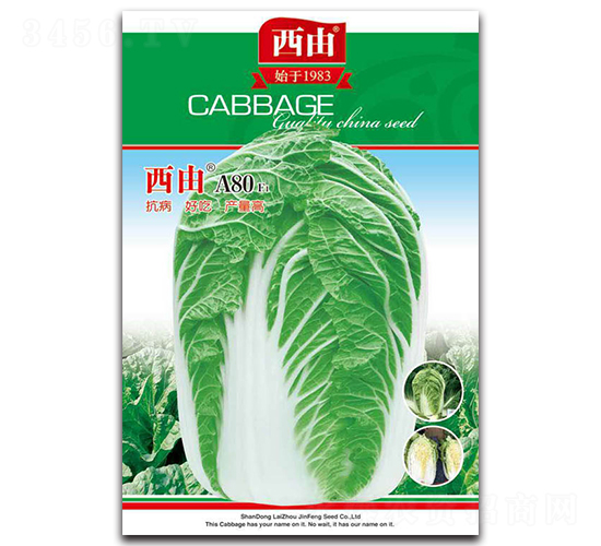 西由A80-白菜種子-西由