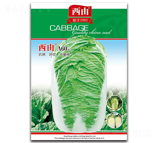 ����A60-�ײ˷N��-����