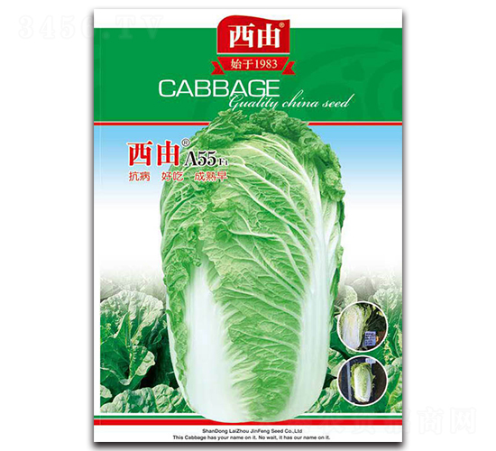 ����A55-�ײ˷N��-����