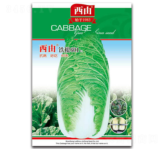 �F��601-�ײ˷N��-����