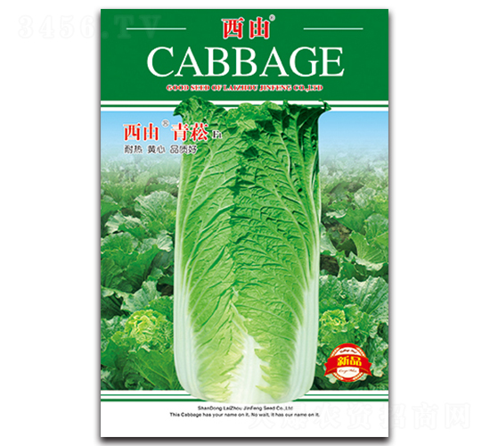 ������ݿ-�ײ˷N��-����