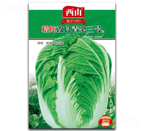 �༃�������s��̖-�ײ˷N��-����