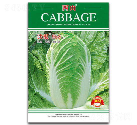 �F��958-�ײ˷N��-����