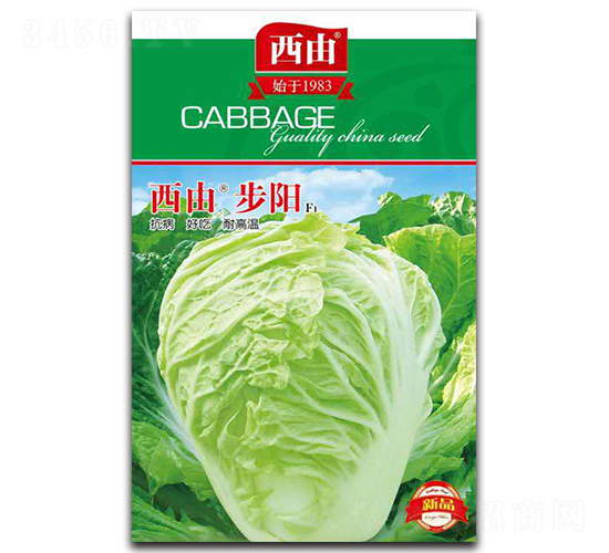 ���ɲ��-�ײ˷N��-����