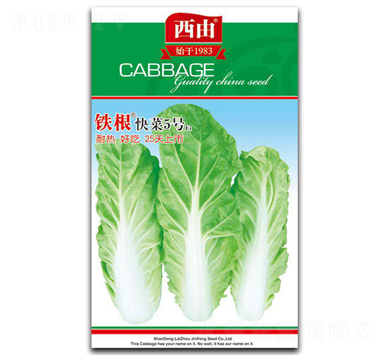 �F�����5̖-�ײ˷N��-����