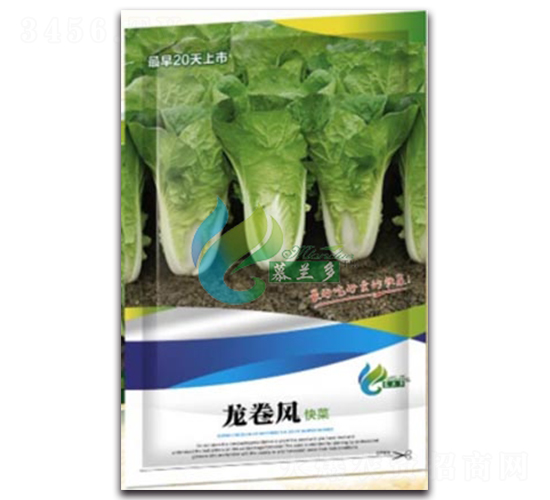 �����L-��˷N��-Ľ�m��