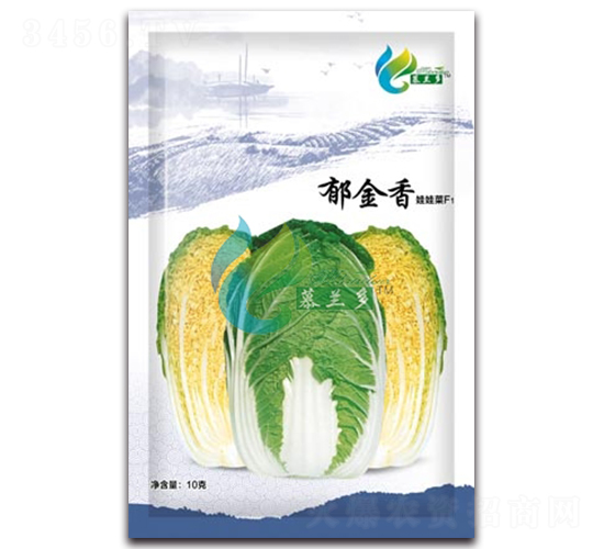 郁金香-娃娃菜種子-慕蘭多