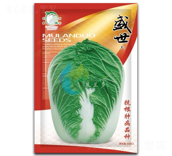 盛世-白菜種子-慕蘭多