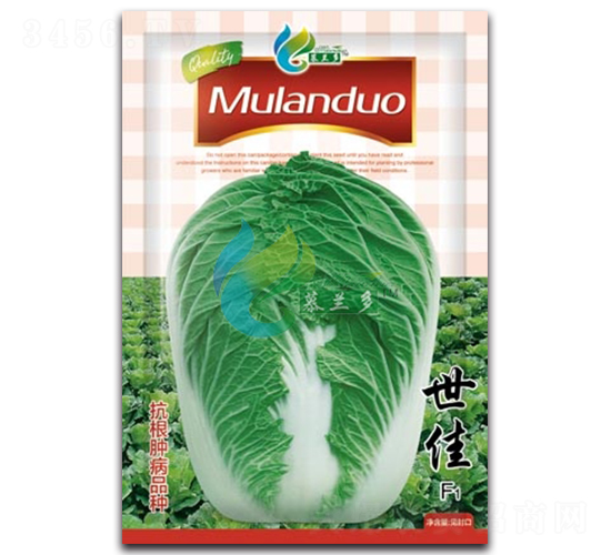 ����-�ײ˷N��-Ľ�m��