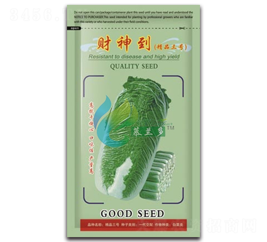 財(cái)神到-白菜種子-慕蘭多