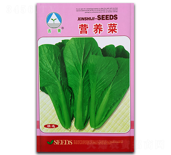 營養菜-白菜種子-新世紀