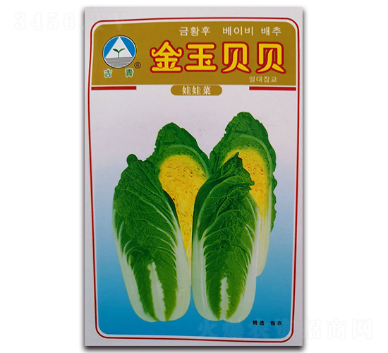 ����ؐؐ-���޲˷N��-�����o