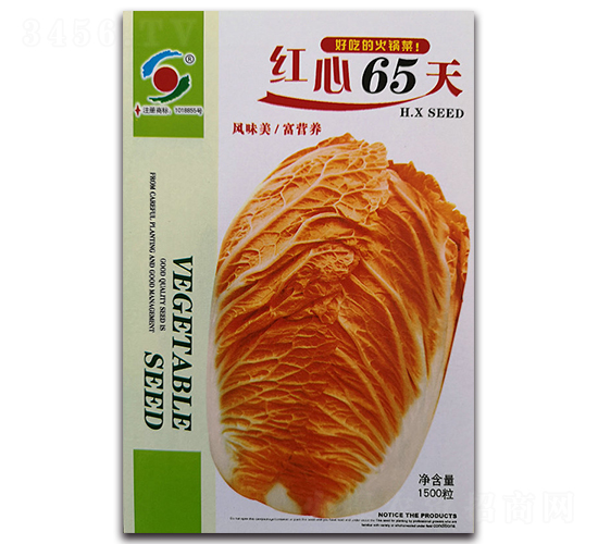 �t��65��-��ײ˷N��-�����o