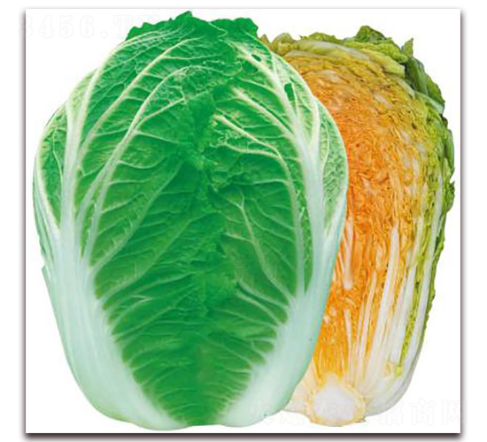 ��{�ۼt��-��ײ˷N��-�����o