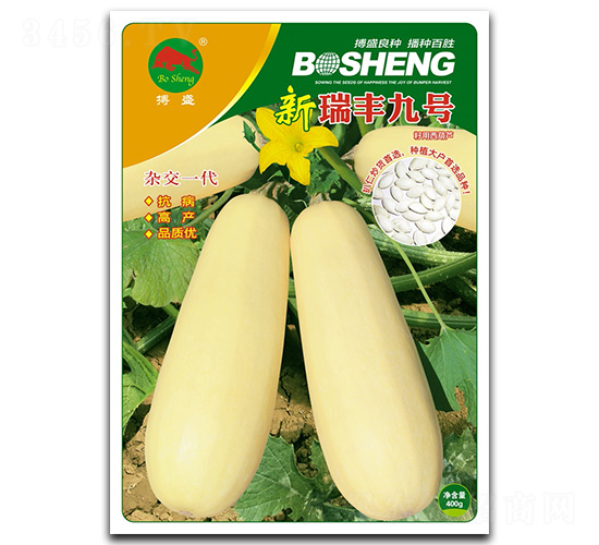 新瑞豐九號-西葫蘆種子-搏盛種業