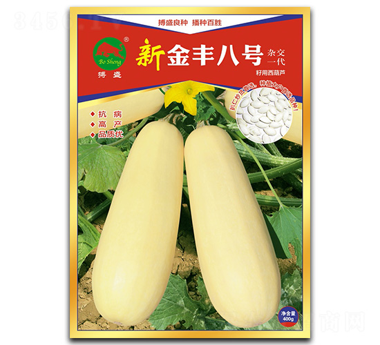 新金豐八號-西葫蘆種子-搏盛種業