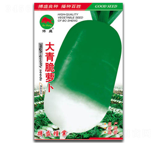 大青脆蘿卜-蘿卜種子-搏盛種業
