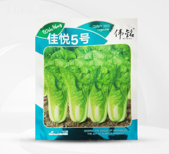 �ѐ�5̖-�ײ˷N��-��㑷N�I