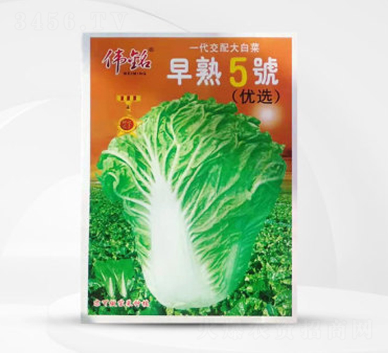 ������̖(h��o)-���޲˷N��-��㑷N�I(y��)