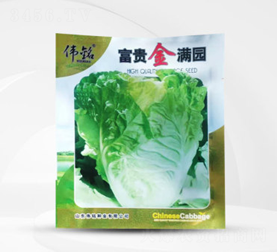 ���F��M�@-�ײ˷N��-��㑷N�I