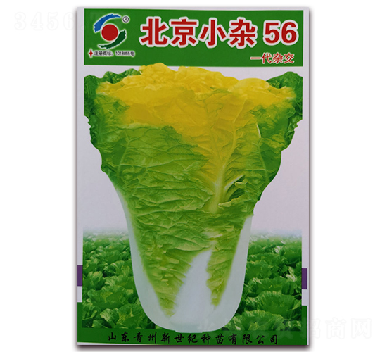 ����С�s56-�ײ˷N��-�����o(j��)