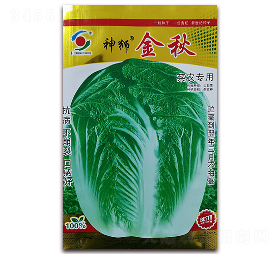 ��{����-�ײ˷N��-�����o