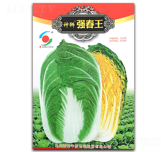 ��{������-�ײ˷N��-�����o