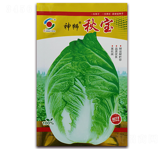 ��{�-�ײ˷N��-�����o