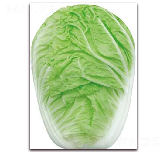 �Ό50-�ײ˷N��-�����o(j��)