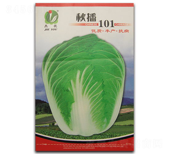 秋播101-白菜種子-杰優(yōu)種業(yè)
