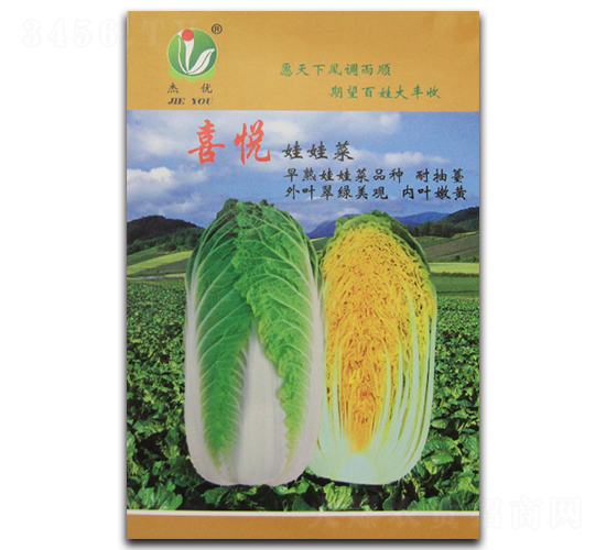 ϲ��-���޲˷N��-�܃��N�I