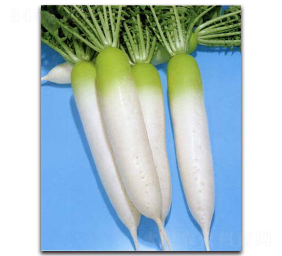 ��������-�}���N��-�r����