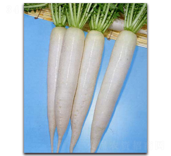 ����-�}���N��-�r����