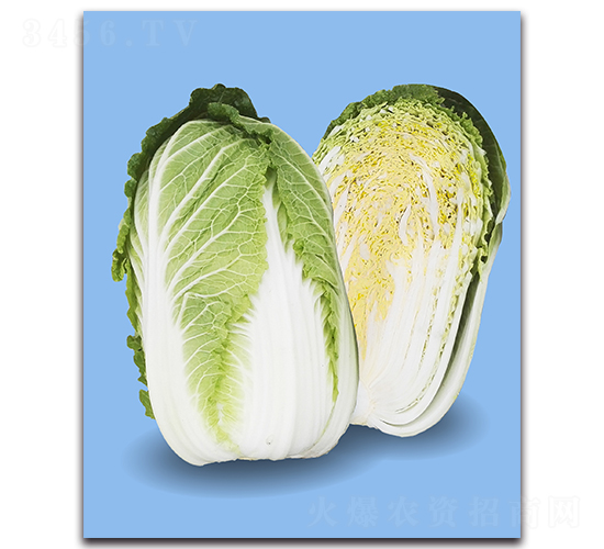 Խ�\-��ײ˷N��-�r����