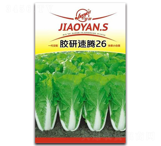 �z�����v26-С�ײ˷N��-�z��